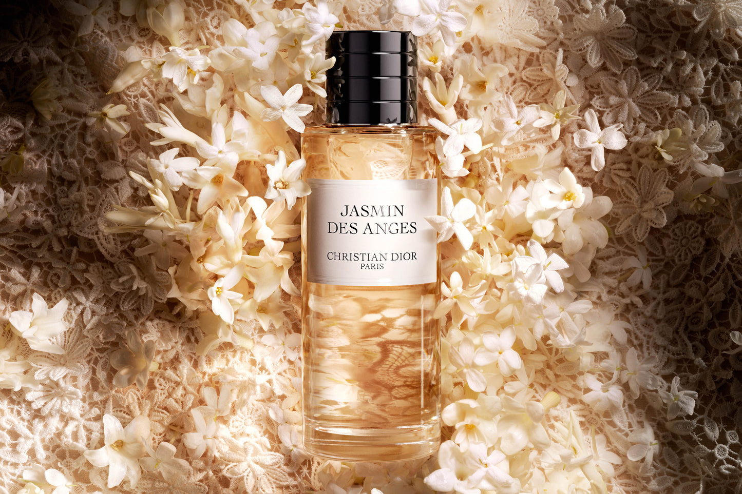 JASMIN DES ANGES
