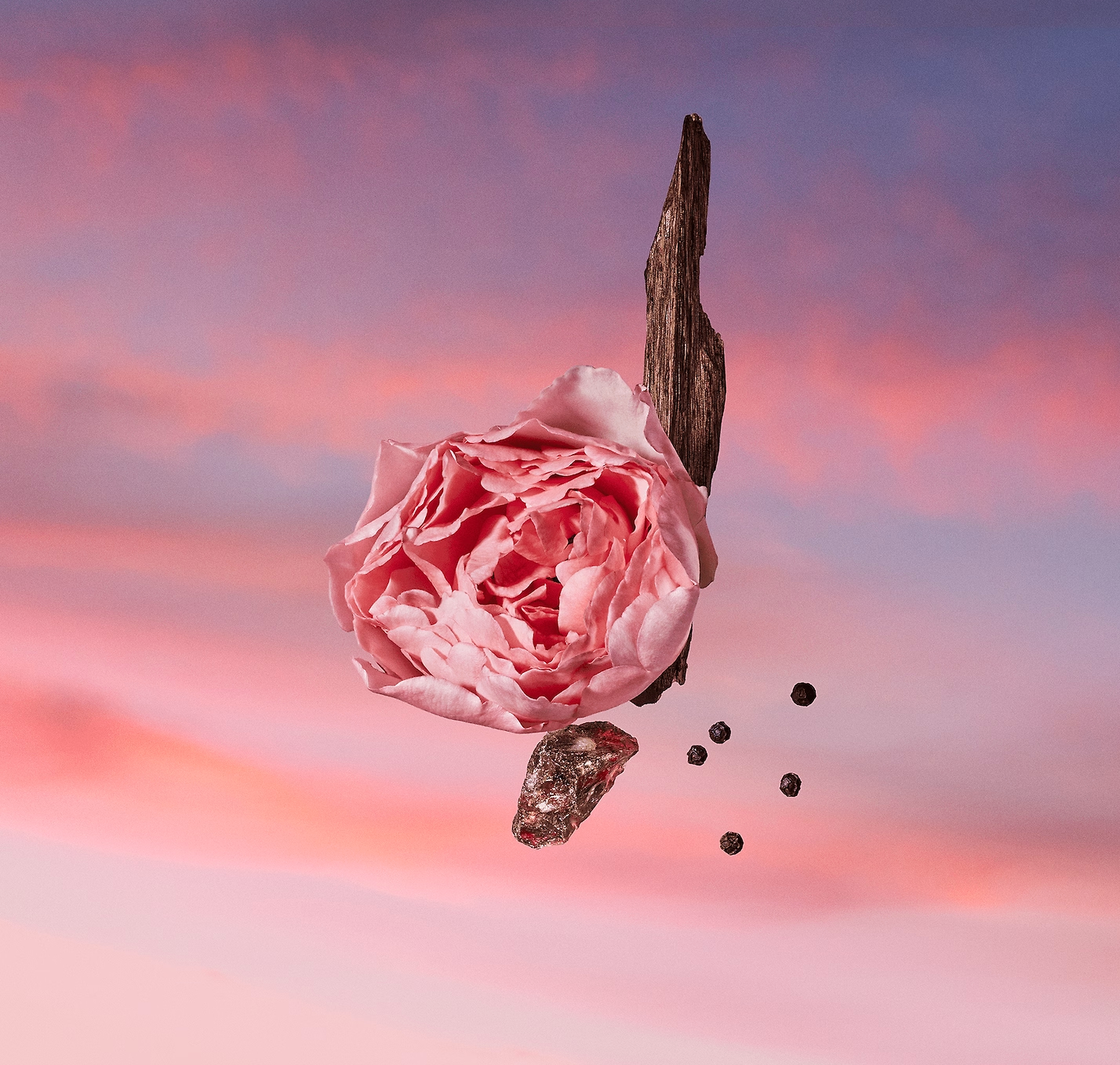 LES SABLES ROSE